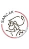 SANCAK GALACTİCOS